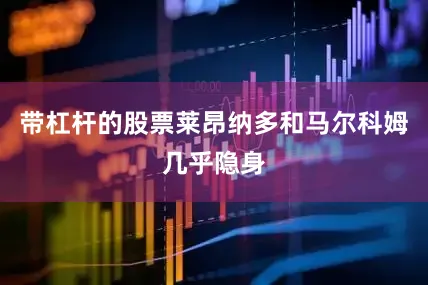 带杠杆的股票莱昂纳多和马尔科姆几乎隐身