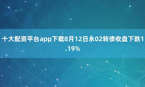 十大配资平台app下载8月12日永02转债收盘下跌1.19%